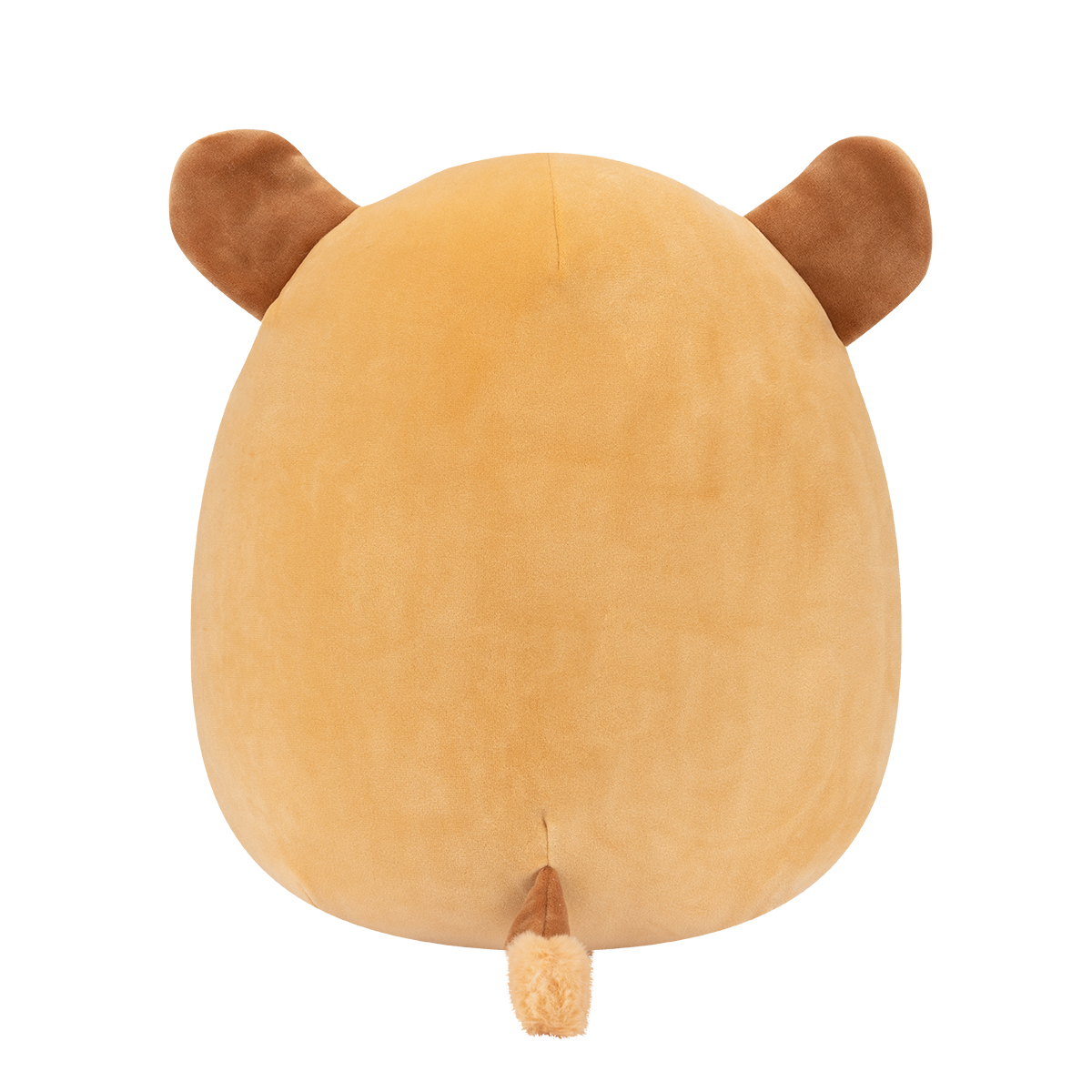 М'яка іграшка Squishmallows — Довгоп'ят Зейн (Zane) — 30 см — превʼю 4