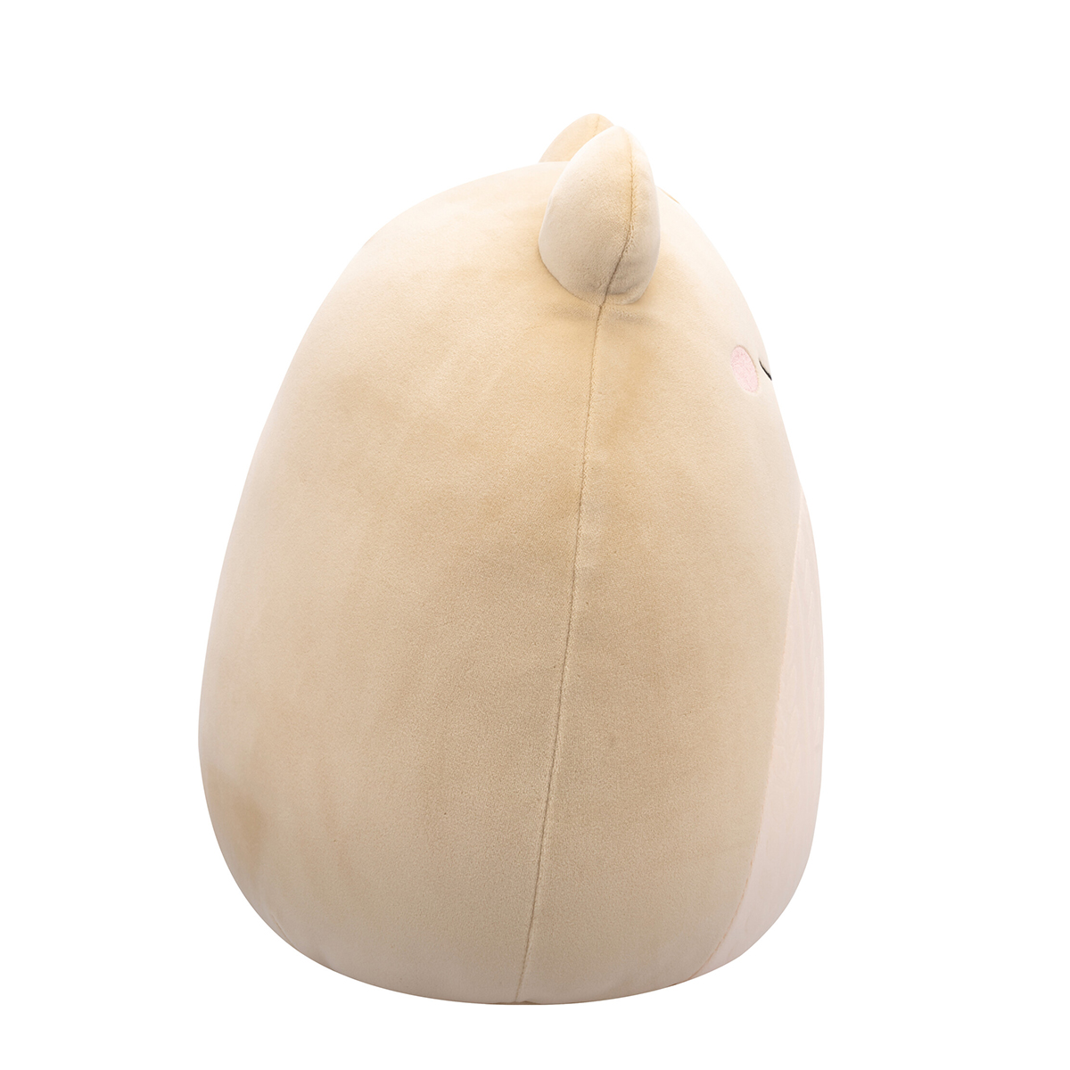 М'яка іграшка Squishmallows – Жабка Де Вітт (De Witt) – 30 cm — превʼю 5